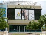 Museo de Vida Silvestre - SAN JUAN